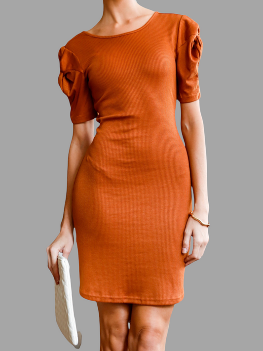 Rust Puff Sleeve Dress